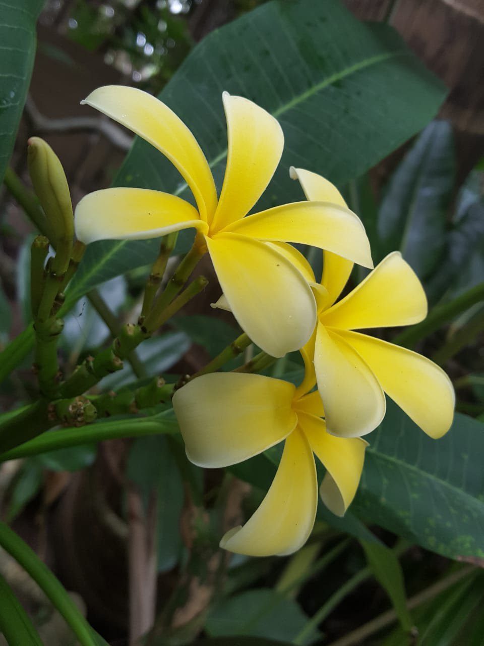 Read more about the article True Gospel is essential for salvation